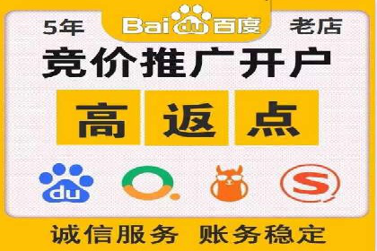 百度竞价推广案例：行业领军者成长故事
